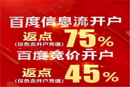 SEM竞价推广案例：低成本高效益的秘诀揭秘